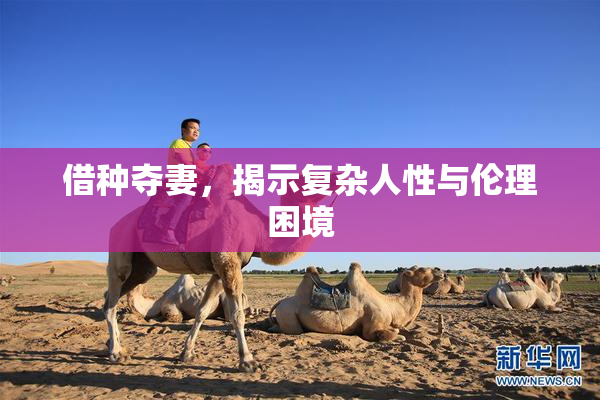 借种夺妻，揭示复杂人性与伦理困境