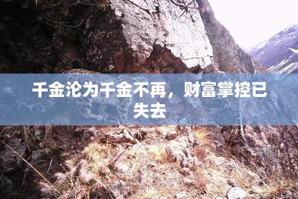 千金沦为千金不再，财富掌控已失去