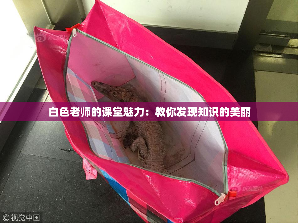 白色老师的课堂魅力：教你发现知识的美丽