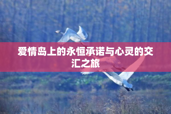 爱情岛上的永恒承诺与心灵的交汇之旅