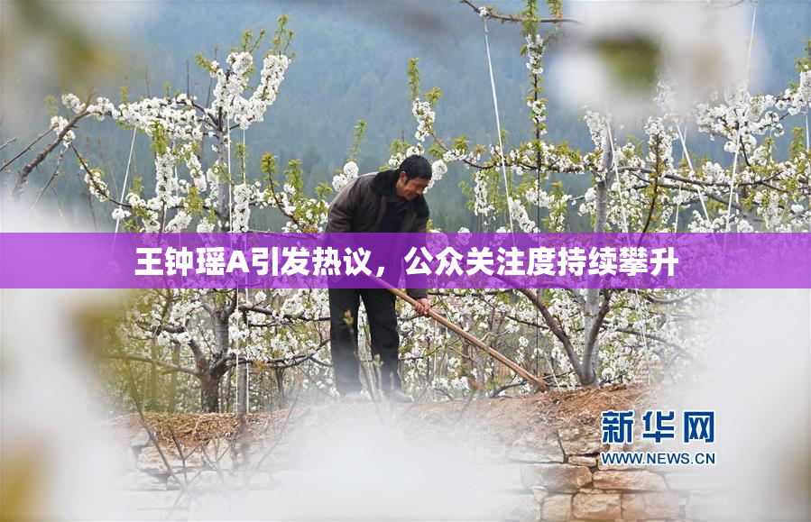 王钟瑶A引发热议，公众关注度持续攀升