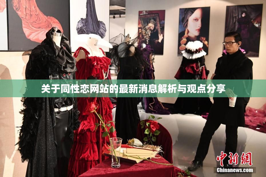 关于同性恋网站的最新消息解析与观点分享