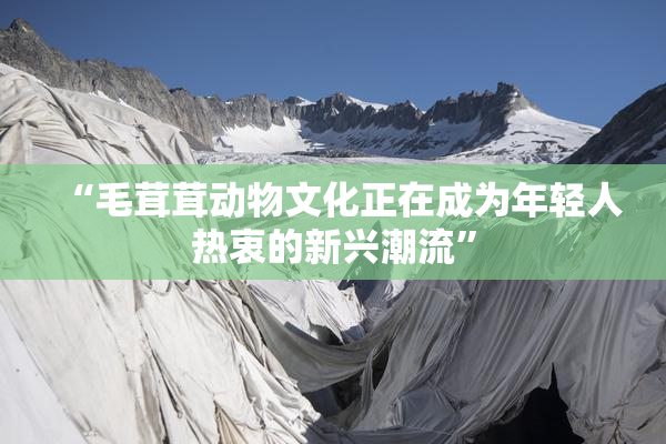 “毛茸茸动物文化正在成为年轻人热衷的新兴潮流”