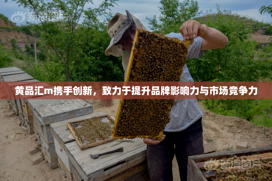 黄品汇m携手创新，致力于提升品牌影响力与市场竞争力