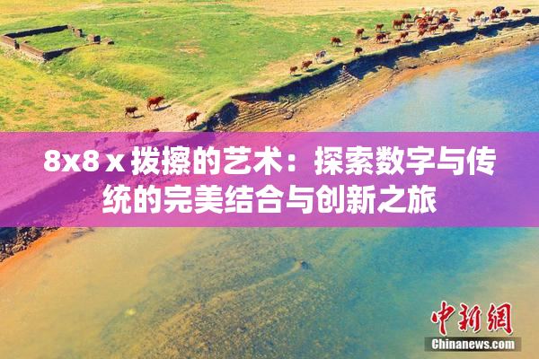 8x8ⅹ拨擦的艺术：探索数字与传统的完美结合与创新之旅