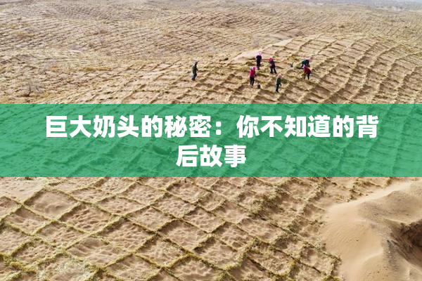 巨大奶头的秘密：你不知道的背后故事