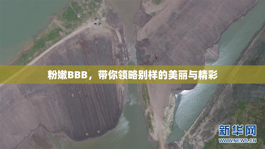 粉嫩BBB，带你领略别样的美丽与精彩