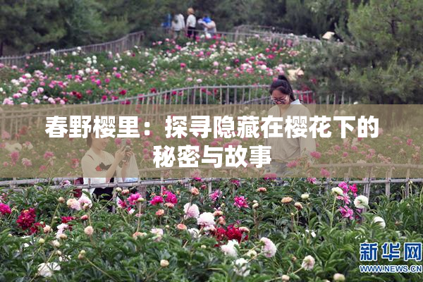 春野樱里：探寻隐藏在樱花下的秘密与故事