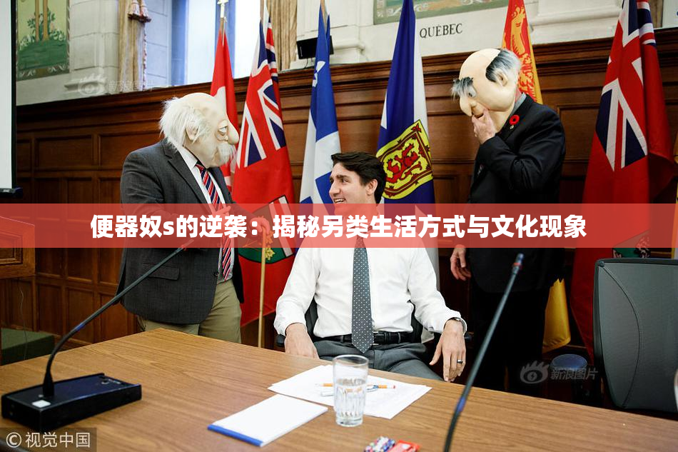 便器奴s的逆袭：揭秘另类生活方式与文化现象