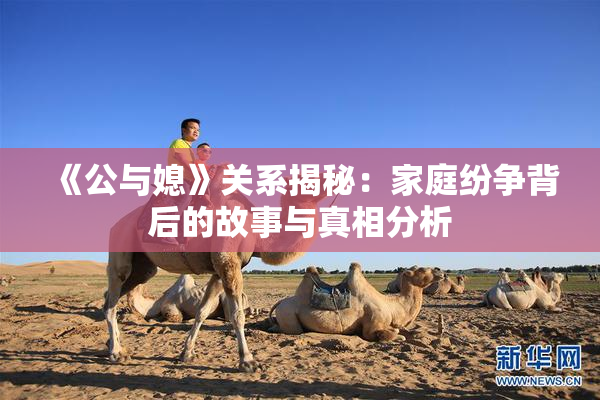 《公与媳》关系揭秘：家庭纷争背后的故事与真相分析