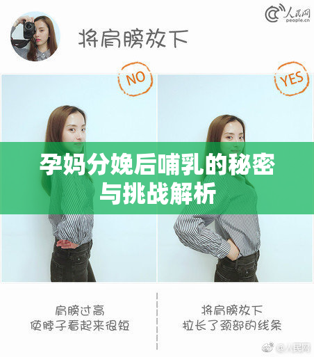 孕妈分娩后哺乳的秘密与挑战解析