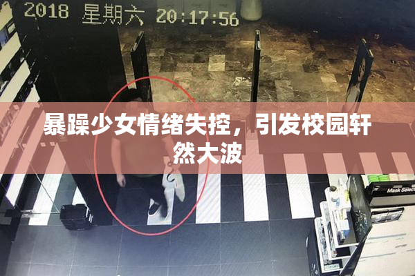 暴躁少女情绪失控，引发校园轩然大波