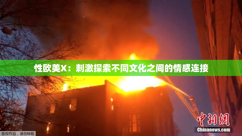 性欧美X：刺激探索不同文化之间的情感连接