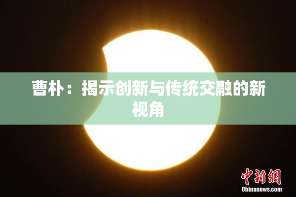 曹朴：揭示创新与传统交融的新视角