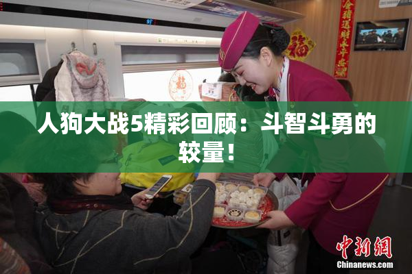 人狗大战5精彩回顾：斗智斗勇的较量！