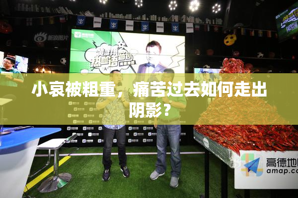 小哀被粗重，痛苦过去如何走出阴影？