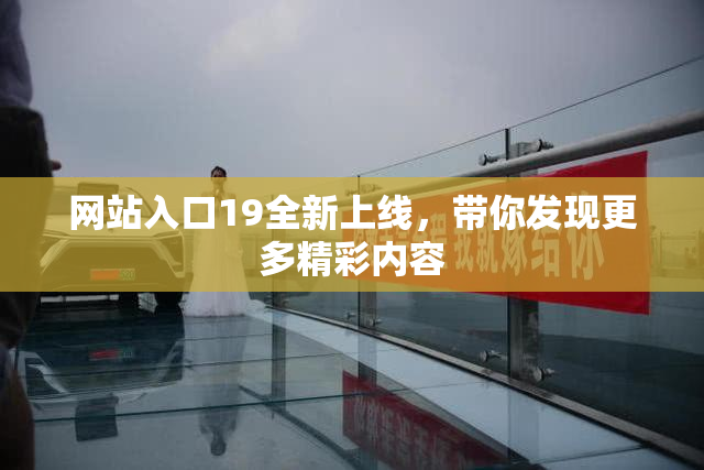 网站入口19全新上线，带你发现更多精彩内容