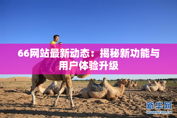 66网站最新动态：揭秘新功能与用户体验升级