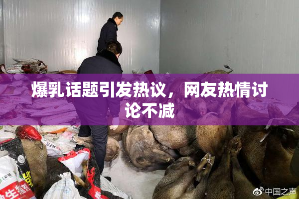 爆乳话题引发热议，网友热情讨论不减