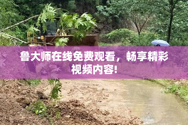 鲁大师在线免费观看，畅享精彩视频内容!