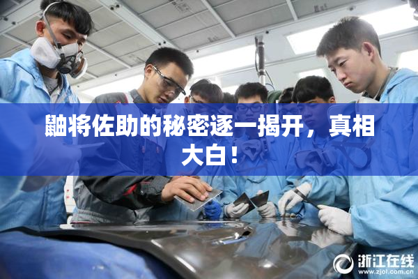 鼬将佐助的秘密逐一揭开，真相大白！