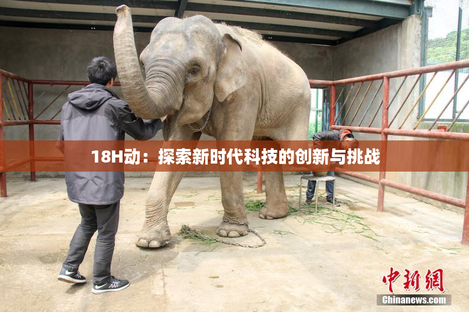 18H动：探索新时代科技的创新与挑战