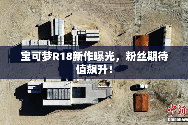 宝可梦R18新作曝光，粉丝期待值飙升！