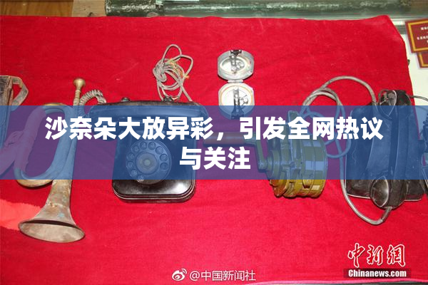 沙奈朵大放异彩，引发全网热议与关注
