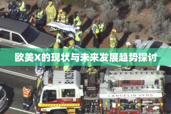 欧美X的现状与未来发展趋势探讨