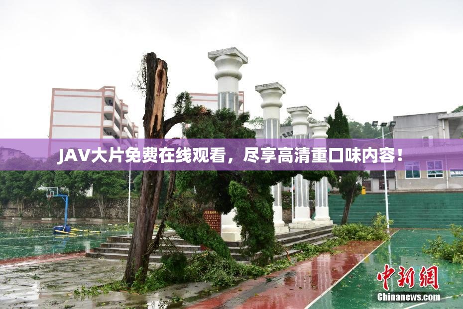 JAV大片免费在线观看，尽享高清重口味内容！
