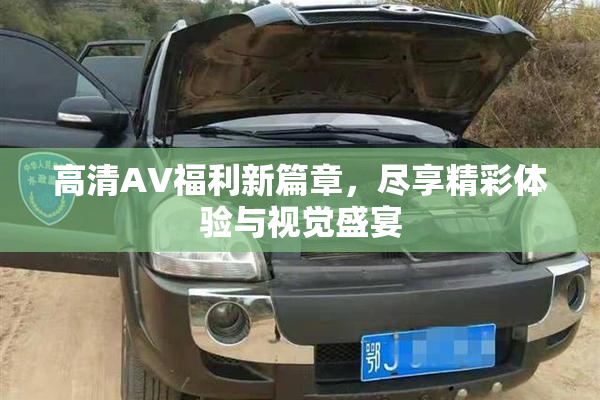 高清AV福利新篇章，尽享精彩体验与视觉盛宴