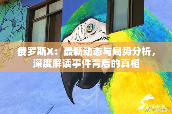俄罗斯X：最新动态与局势分析，深度解读事件背后的真相