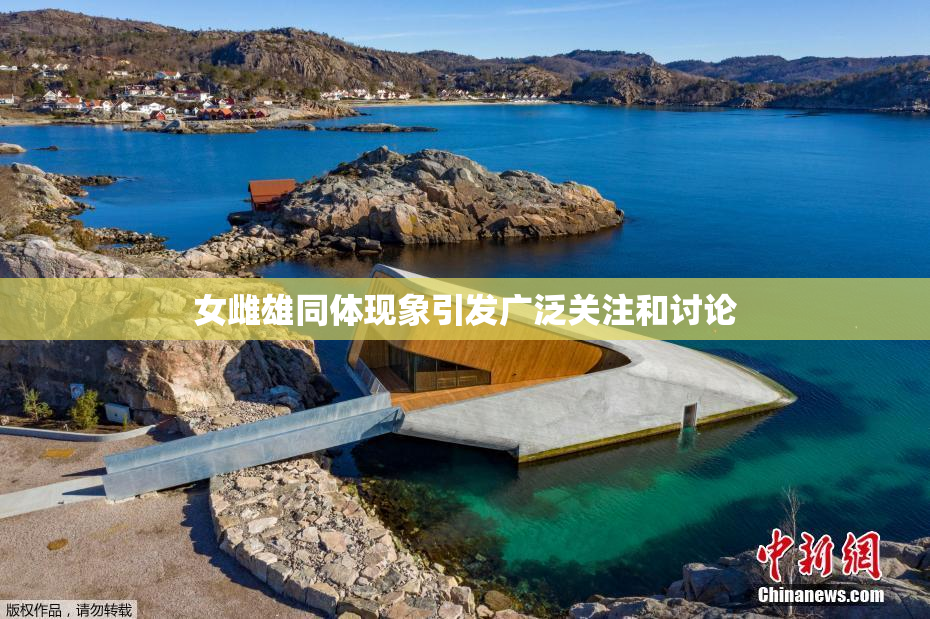 女雌雄同体现象引发广泛关注和讨论