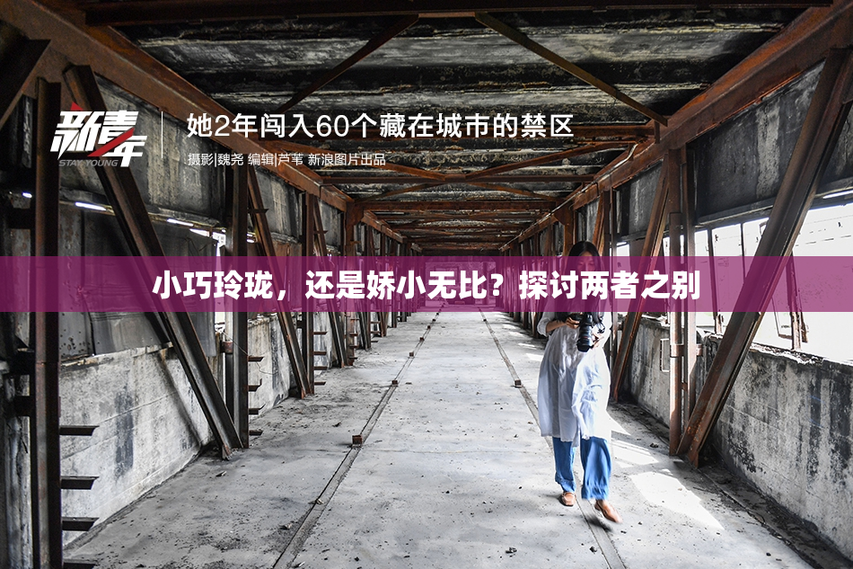 小巧玲珑，还是娇小无比？探讨两者之别
