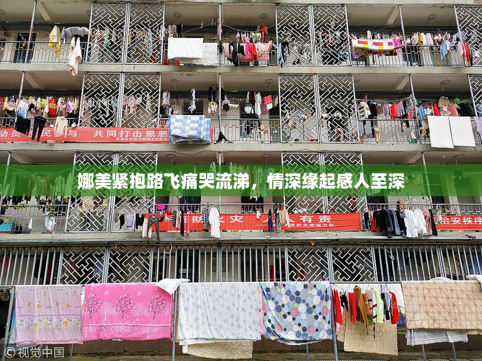 娜美紧抱路飞痛哭流涕，情深缘起感人至深