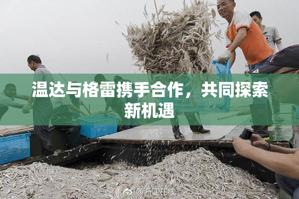 温达与格雷携手合作，共同探索新机遇