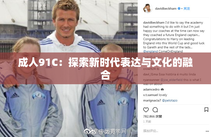 成人91C：探索新时代表达与文化的融合