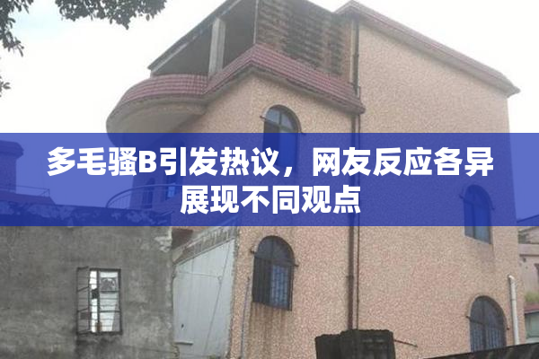 多毛骚B引发热议，网友反应各异展现不同观点