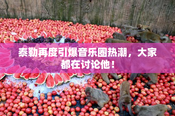 泰勒再度引爆音乐圈热潮，大家都在讨论他！