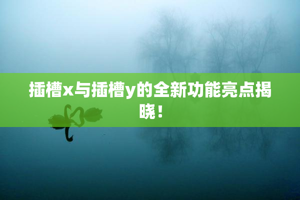 插槽x与插槽y的全新功能亮点揭晓！
