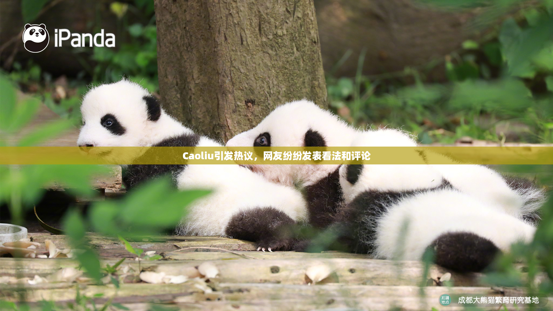 Caoliu引发热议，网友纷纷发表看法和评论
