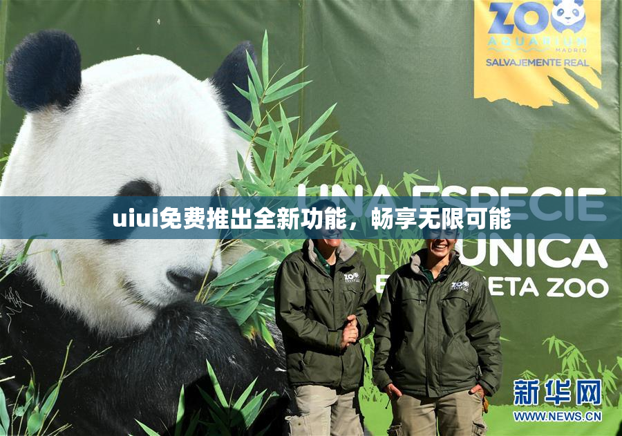 uiui免费推出全新功能，畅享无限可能