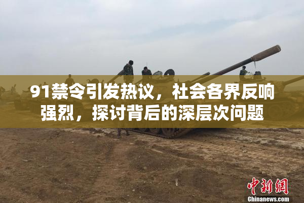 91禁令引发热议，社会各界反响强烈，探讨背后的深层次问题