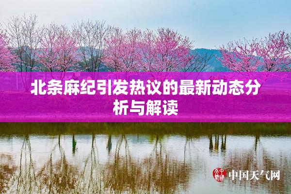 北条麻纪引发热议的最新动态分析与解读