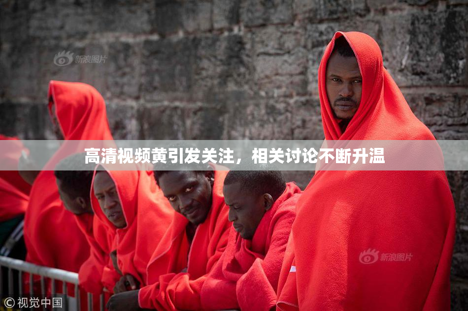 高清视频黄引发关注，相关讨论不断升温