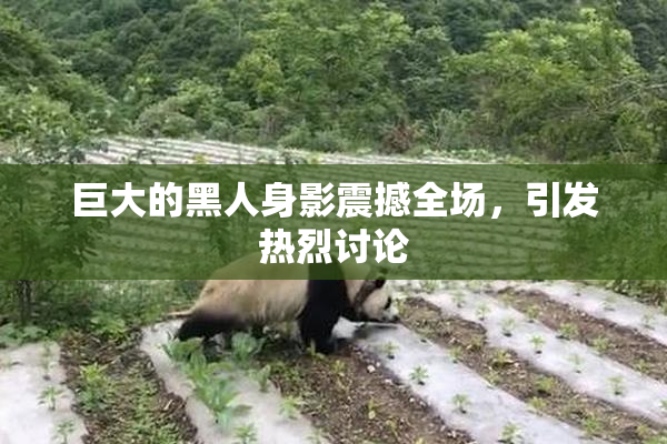 巨大的黑人身影震撼全场，引发热烈讨论
