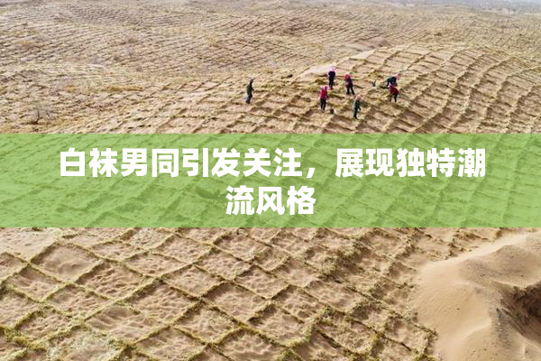 白袜男同引发关注，展现独特潮流风格
