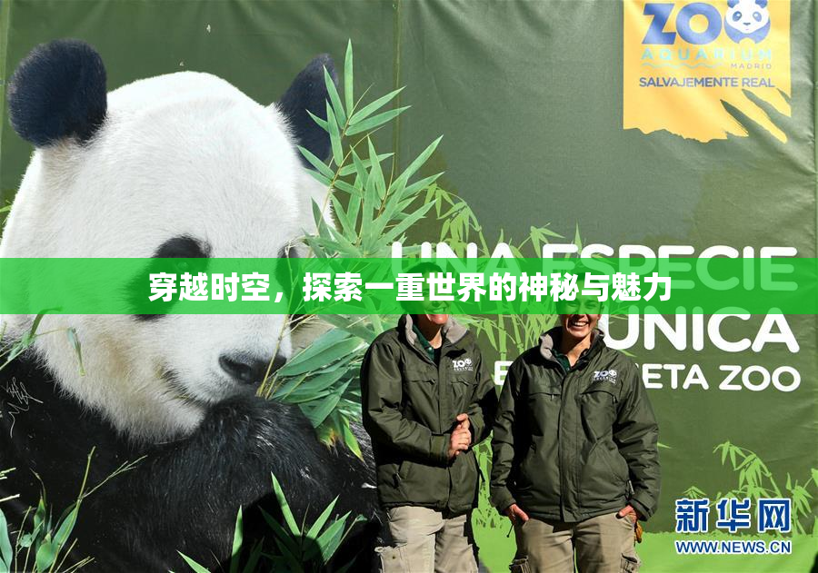 穿越时空，探索一重世界的神秘与魅力