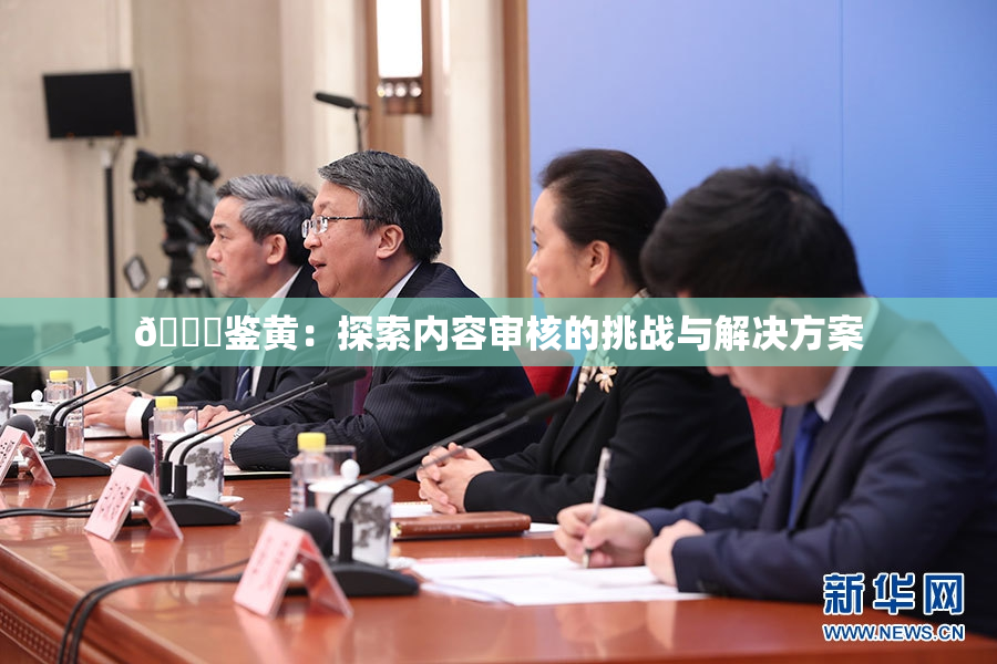 🔞鉴黄：探索内容审核的挑战与解决方案