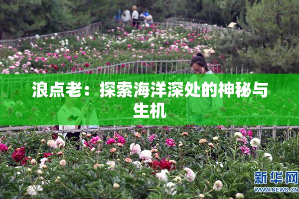 浪点老：探索海洋深处的神秘与生机